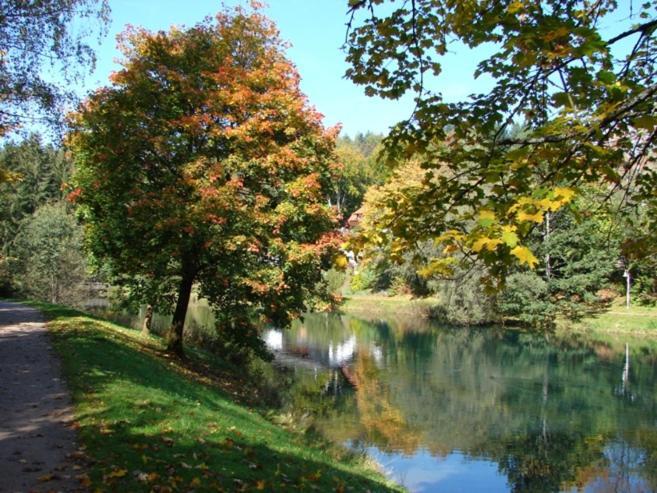 Hotel Breitenbacher Hof Waldachtal Zewnętrze zdjęcie