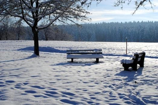 Hotel Breitenbacher Hof Waldachtal Zewnętrze zdjęcie